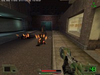 In-game shot