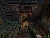 In-game shot