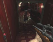 In-game shot