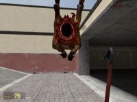 headcrab attack