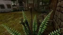Seyda Neen
