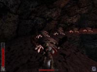 Rune: Halls of Valhalla