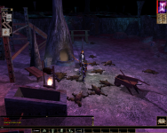 Neverwinter Nights.