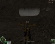 Beta Test of Reborn 