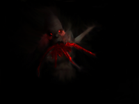 Bloodsucker