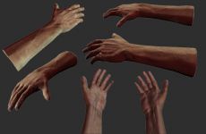 Survivor Hand Render (WIP)