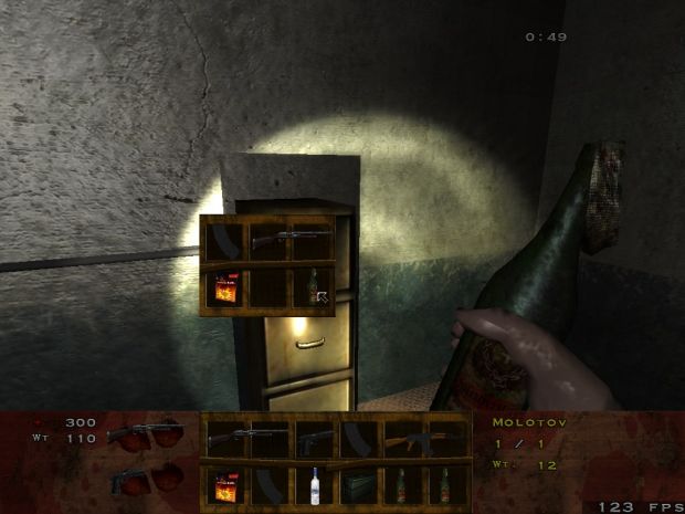 Molotov ingame and some stuff