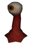 Eye Eye