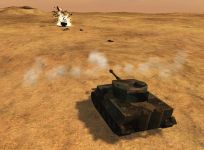 Tiger in the desert.
