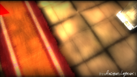 The carpet