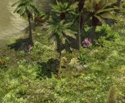 Tropical Foliage