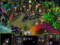 WC3: FT