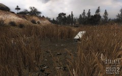 Absolute Nature 2 for CS