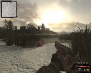 Winter in Clear Sky