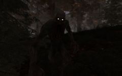 S.T.A.L.K.E.R Clear Sky