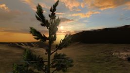 Translucent Plant Shader