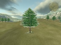 New Tree!