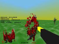 Sprites and simple sprite animations.