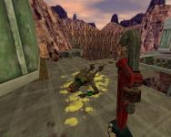 Opposing Force