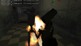 Dquake shots