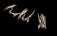 Space bug tease