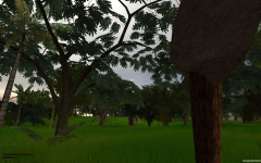Cut down trees