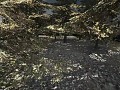OpenWolf dynamic shadows