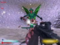 Enemy Boss