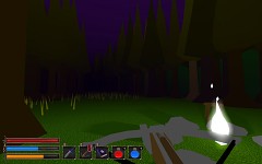The Forest