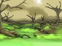 Swamp