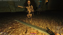 Multiplayer