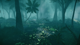 Deep in the Jungle