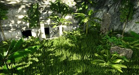 Jungle Ruins