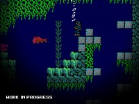 Coral Zone 1