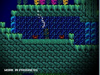 Coral Zone 2