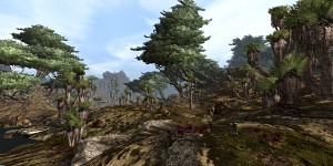 OWON inner area shots
