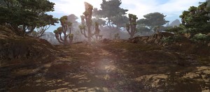 Oasis