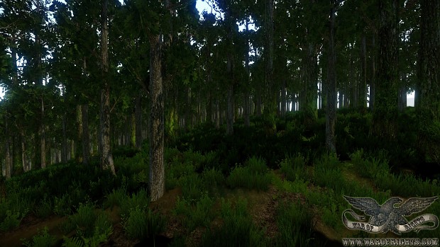 Woodland WIP 6