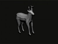 Deer Model