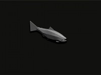 Fish Model