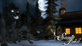 Wolves near camp