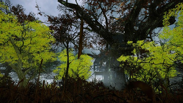 Aporia: codename Darkmist Forest