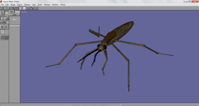 Water Strider