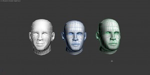 Civil Head - Shape Variations