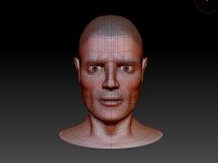 head topology 1 - Zbrush