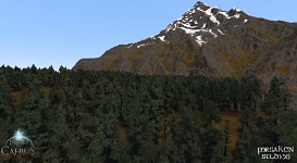 The forests of Thaal