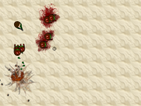Screenshot3
