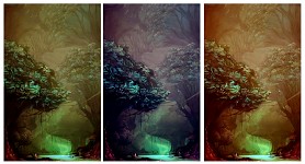 Swamps