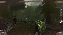 Crashwoods