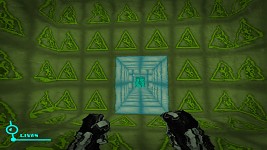 A few images from ingame, menu GUI and Games Label